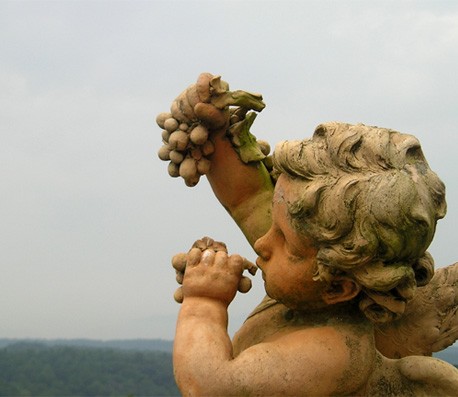 秒开无延迟的短信免费轰炸网页