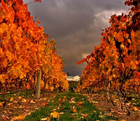 骚扰手机号呼叫软件