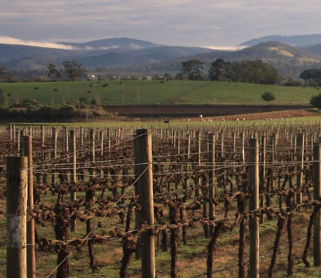 电话轰在线轰炸